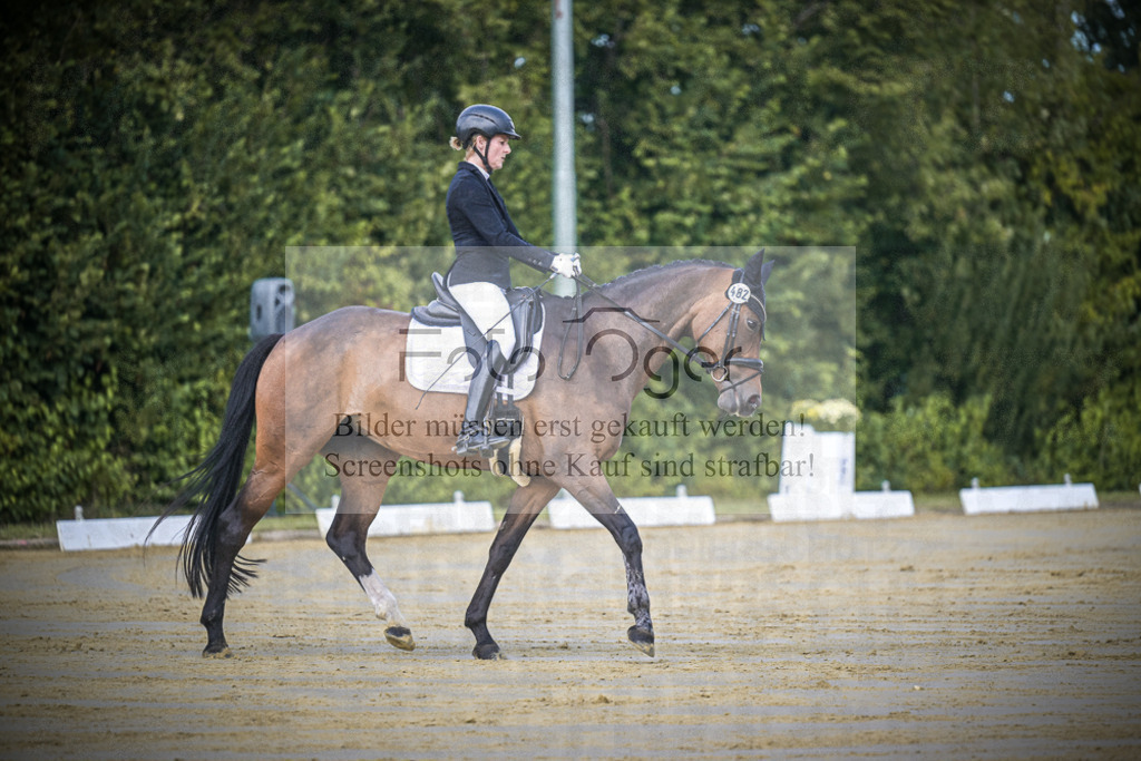 DOS_4580 | Entdecke hochwertige Reitturnierfotos von Foto Oger. Professionell, emotional und authentisch – jetzt Lieblingsmomente im Shop bestellen.Deutschlandweite Turnierfotografie. - Realisiert mit Pictrs.com
