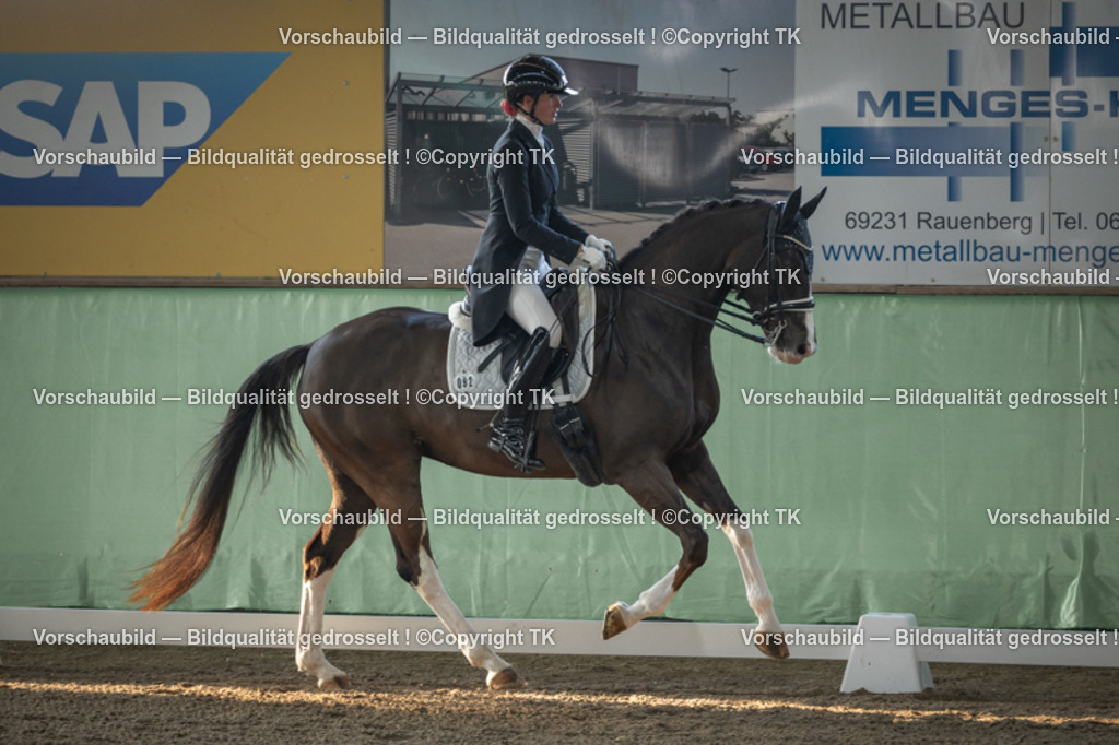 _D5A7819 | Emotionale Pferde- & People-Fotografie rund um Heidelberg, Leimen & Umgebung. Natürliche Fotos von Pferd, Mensch & Familie. Jetzt Termin sichern!