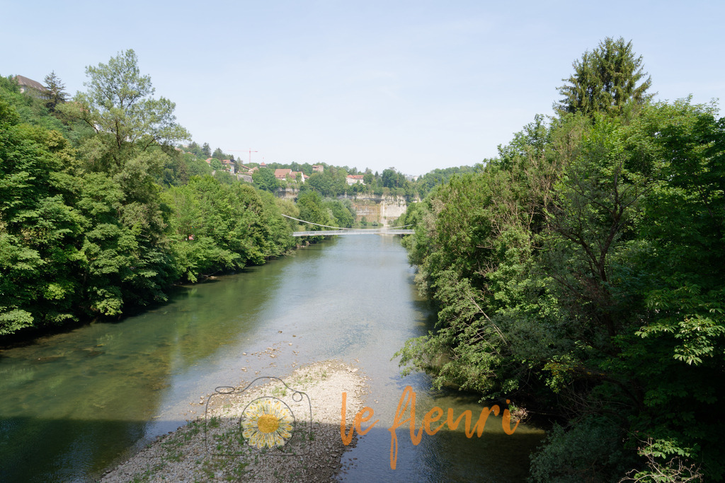 DSC_0005-NEF_DxO_DeepPRIME | Dies ist der Shop von Florian Blum - le fleuri. Langenthal, Bern, SchweizSie können hier meine oder ihre eigenen Fotos als Fotoprodukte kaufen. Tassen, Schlüsselanhänger, Taschen etc. können Sie hier gestalten.  - Realisiert mit Pictrs.com