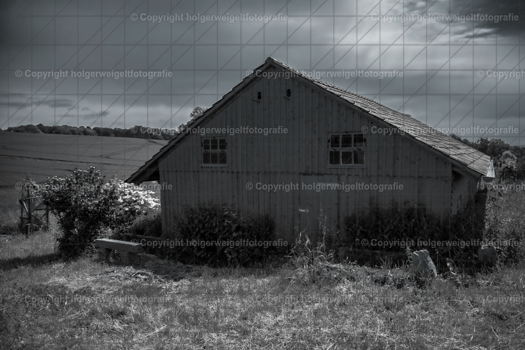 20260616104043Z63_4592 | Kaufen sie online außergewöhnliche Fotografien auf Leinwand Acrylglas Fotoprint Aludibond von holgerweigeltfotografie - Realisiert mit Pictrs.com