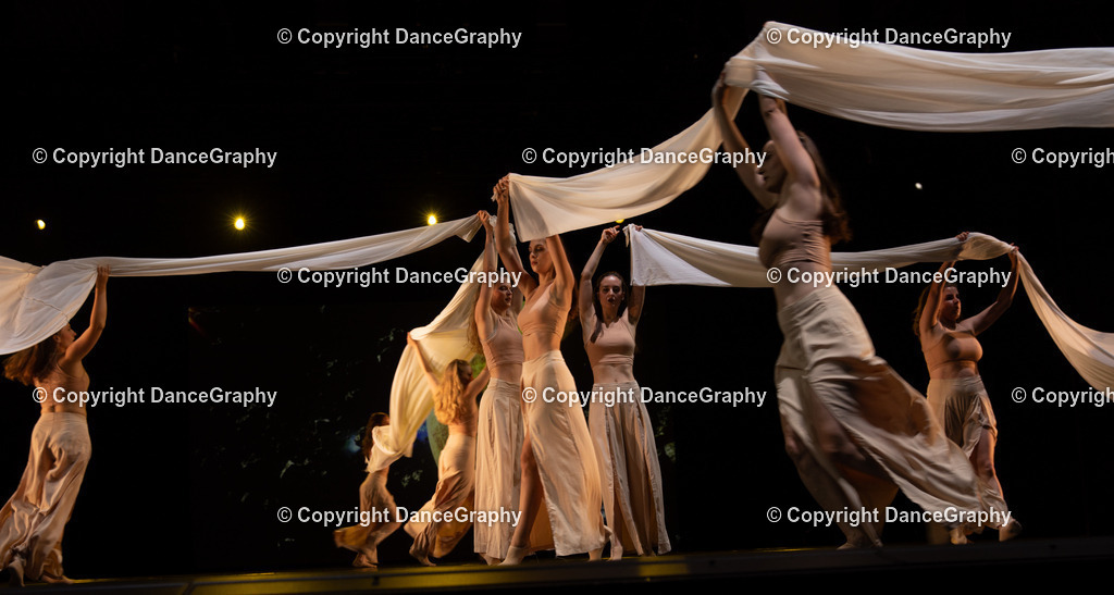 GPHY4189 | DanceGraphy - Realisiert mit Pictrs.com