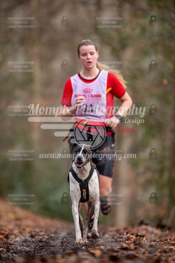 SPA_2023_DIM_CCL-162 | PayLife