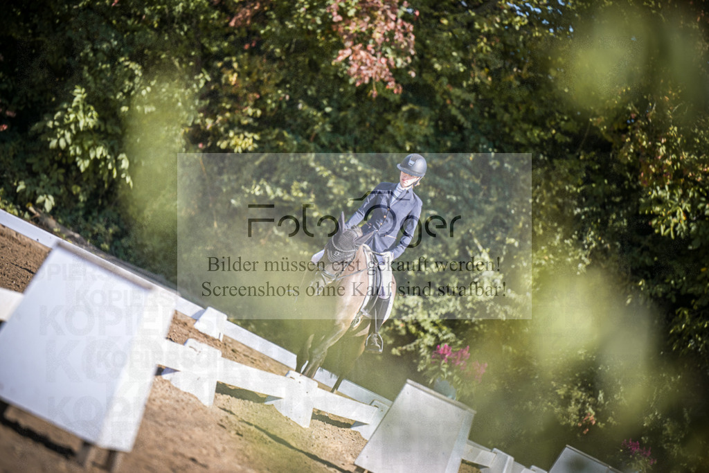 DOS_3116 | Entdecke hochwertige Reitturnierfotos von Foto Oger. Professionell, emotional und authentisch – jetzt Lieblingsmomente im Shop bestellen.Deutschlandweite Turnierfotografie. - Realisiert mit Pictrs.com