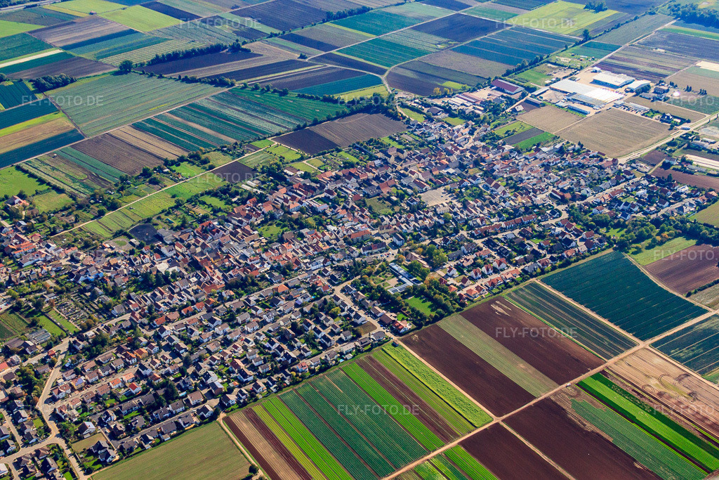 Luftbild: Ortsansicht aus Nordwesten in Fußgönheim im Bundesland Rheinland-Pfalz in Deutschland. Foto: IMG_34450.jpg vom 03.10.2010 durch Werner Riehm/FLY-FOTO.de