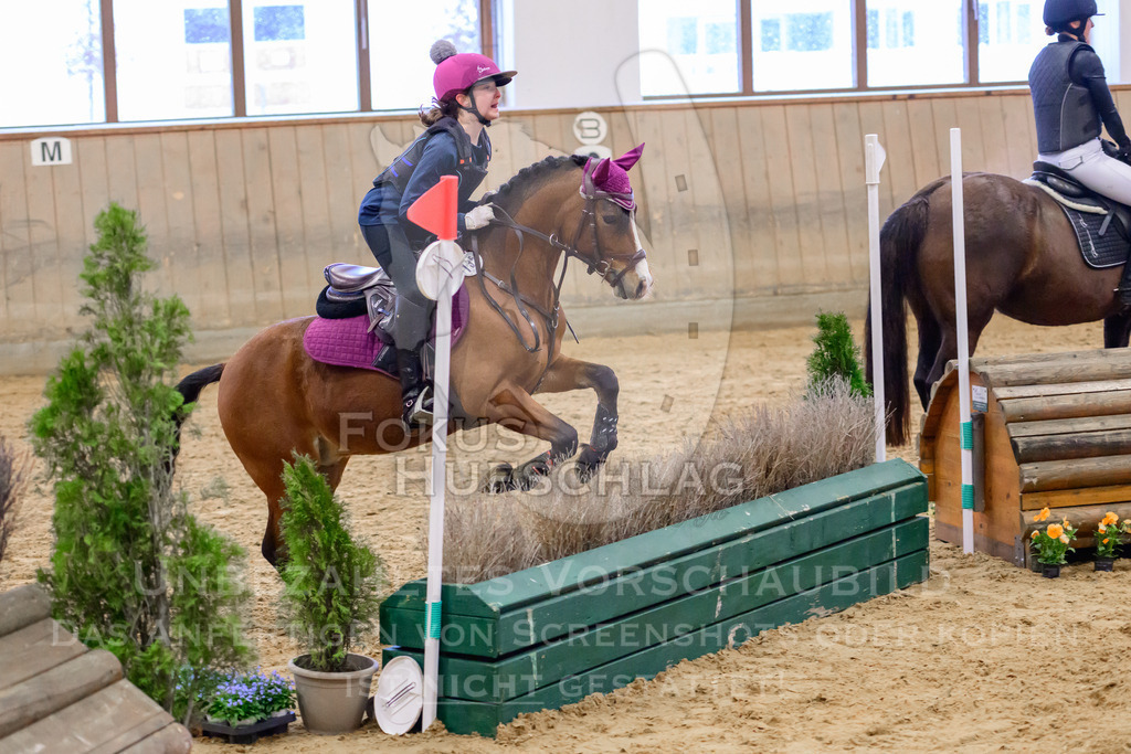 29032026-Schwaiganger-Prfg01-606 | Fokus Hufschlag Fotografie - Realisiert mit Pictrs.com