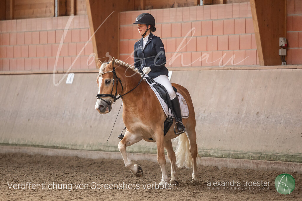 250405_Barop_06_329 | farbklaex.com
