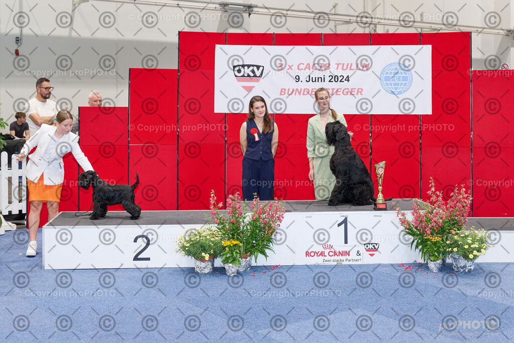 202406_ÖKV-IHA-Tulln24_NZ9_9428 | proPHOTO - Realisiert mit Pictrs.com