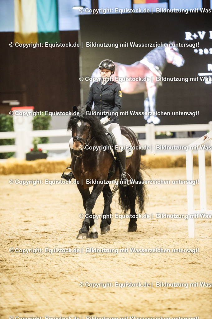 20240302_Hengstvorstellung_Marbach_TOMsPiC_0272 | equistock