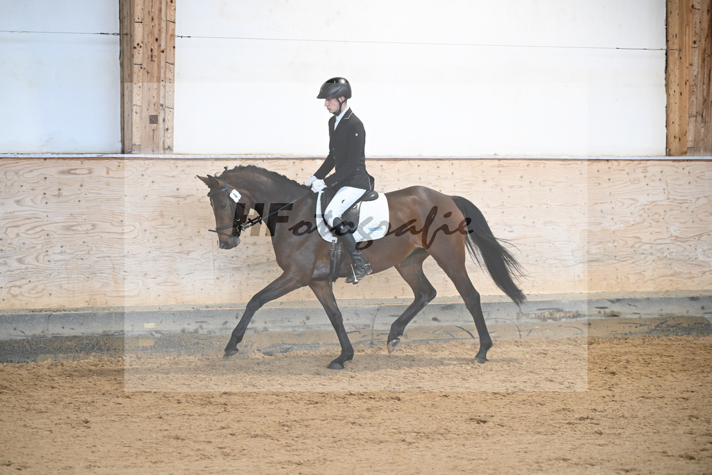 Kat-Nr. 4 Lisl-P v. Fail Deal_Purucker_50250156 | hf-fotografie - Realisiert mit Pictrs.com