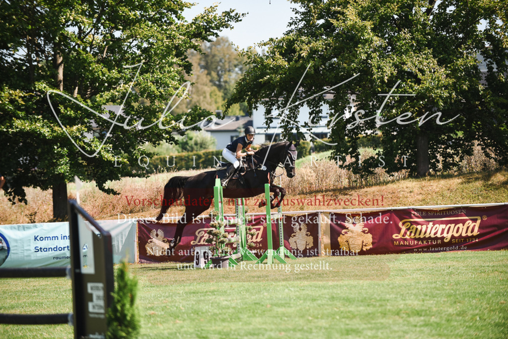 DSC_2781 | Pferde- und Turnierfotografie in Westsachsen. Pferdeportraits, Auftragszeichnungen und intuitive Kunst.