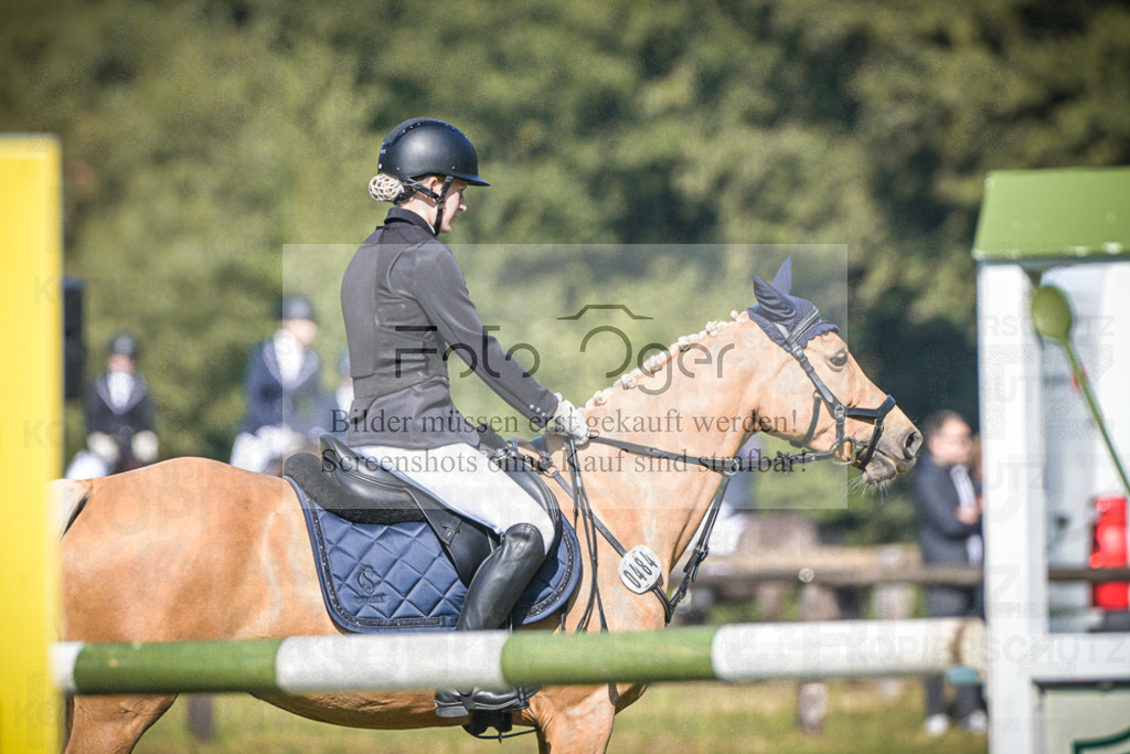 DOS_0729 | Entdecke hochwertige Reitturnierfotos von Foto Oger. Professionell, emotional und authentisch – jetzt Lieblingsmomente im Shop bestellen. - Realisiert mit Pictrs.com