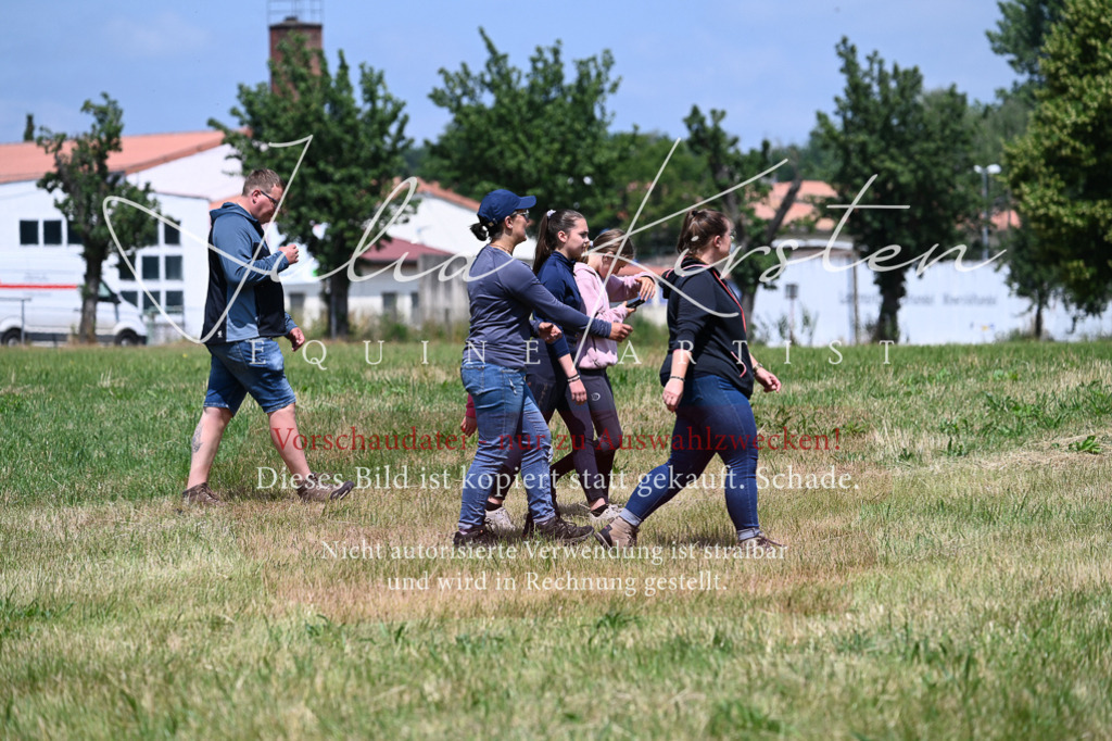 DSC_9548 | Pferde- und Turnierfotografie in Westsachsen. Pferdeportraits, Auftragszeichnungen und intuitive Kunst.