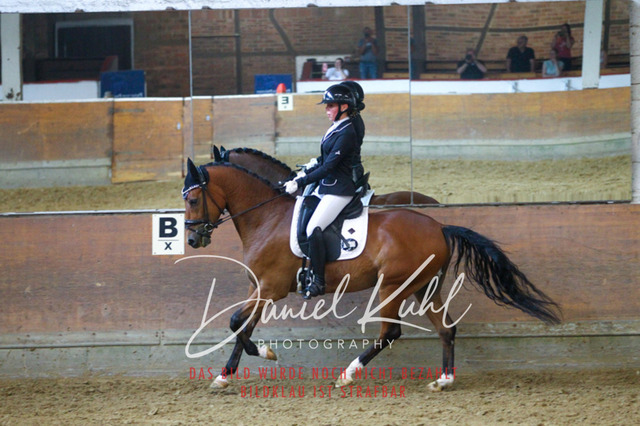 DKP43492 | Turniersportfotografie; Pferdefotografie; Dressurfotografie