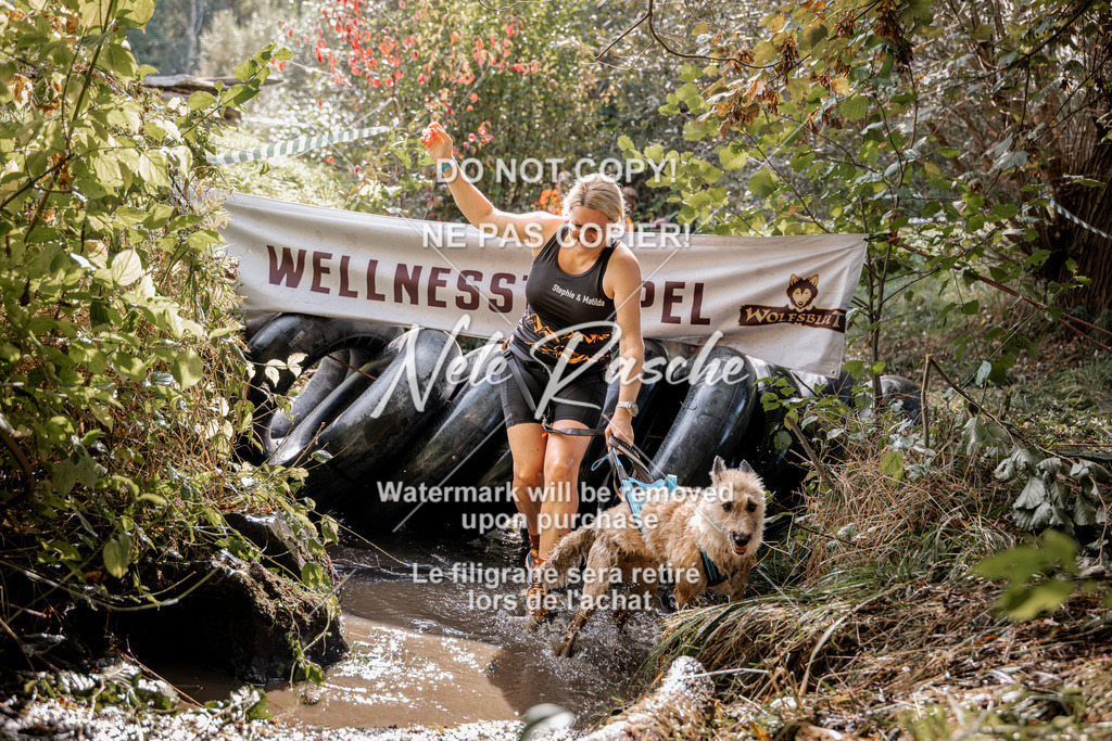 nelerasche_Hunsrück2026_Sa1400-1500_222 | nelerasche