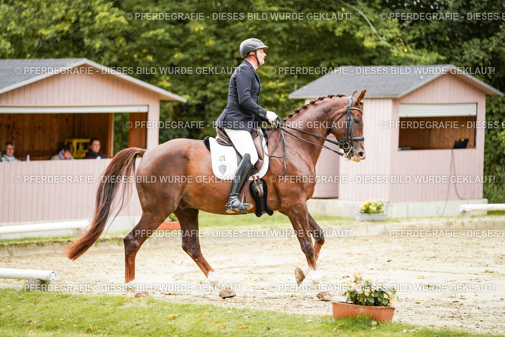 DSC03744 | Pferdegrafie