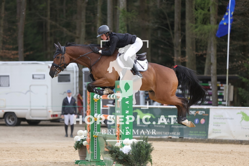 0P6A7509 | Willkommen bei Brunnmayr - Design & Fotografie – Ihrem Spezialisten für Reitturniere und Pferdeveranstaltungen in Oberösterreich, Salzburg und Bayern! Seit über 17 Jahren sind wir leidenschaftlich dabei.