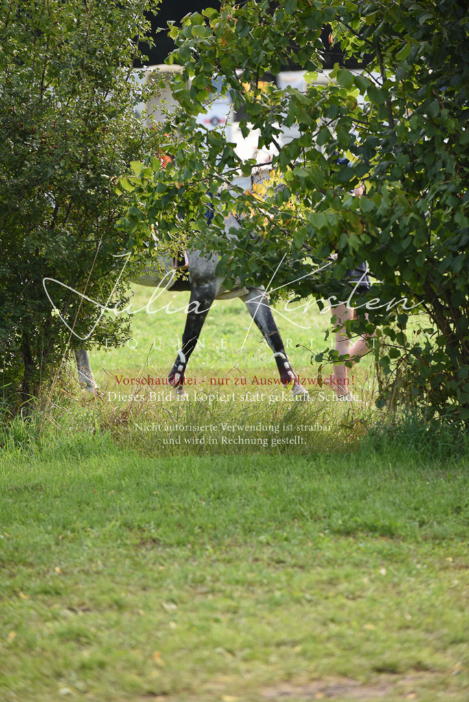 DSC_8523 | Pferde- und Turnierfotografie in Westsachsen. Pferdeportraits, Auftragszeichnungen und intuitive Kunst.