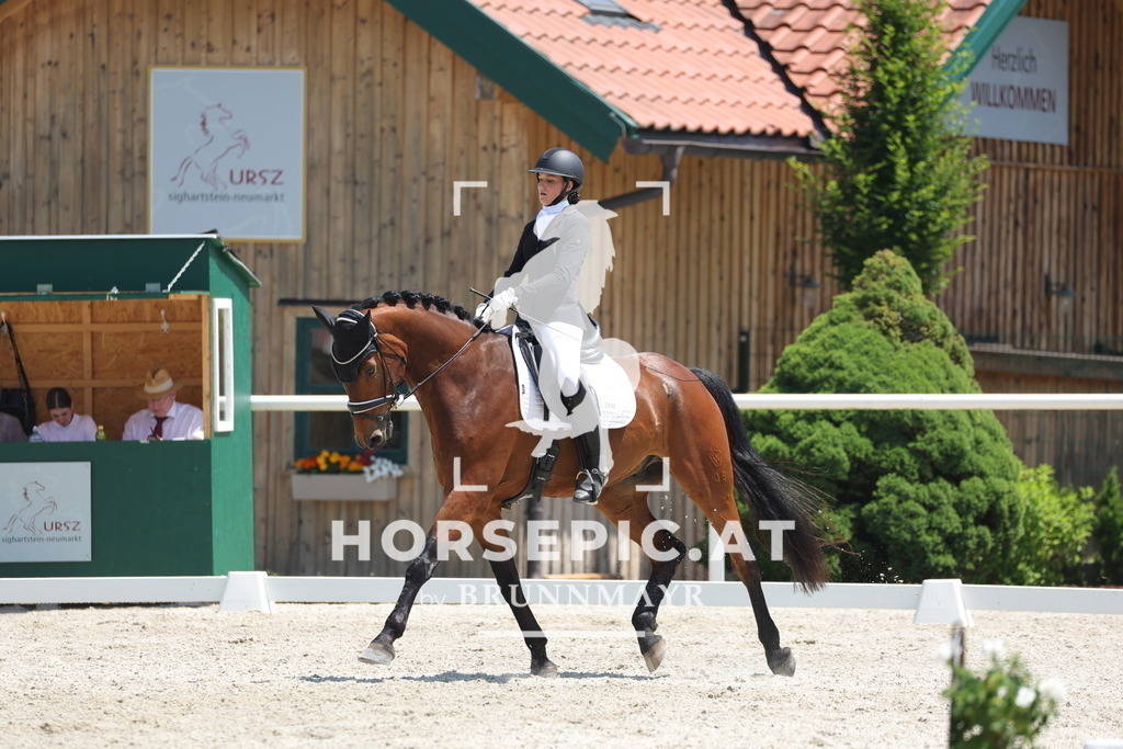 0P6A1615 | Willkommen bei Brunnmayr - Design & Fotografie – Ihrem Spezialisten für Reitturniere und Pferdeveranstaltungen in Oberösterreich, Salzburg und Bayern! Seit über 17 Jahren sind wir leidenschaftlich dabei.