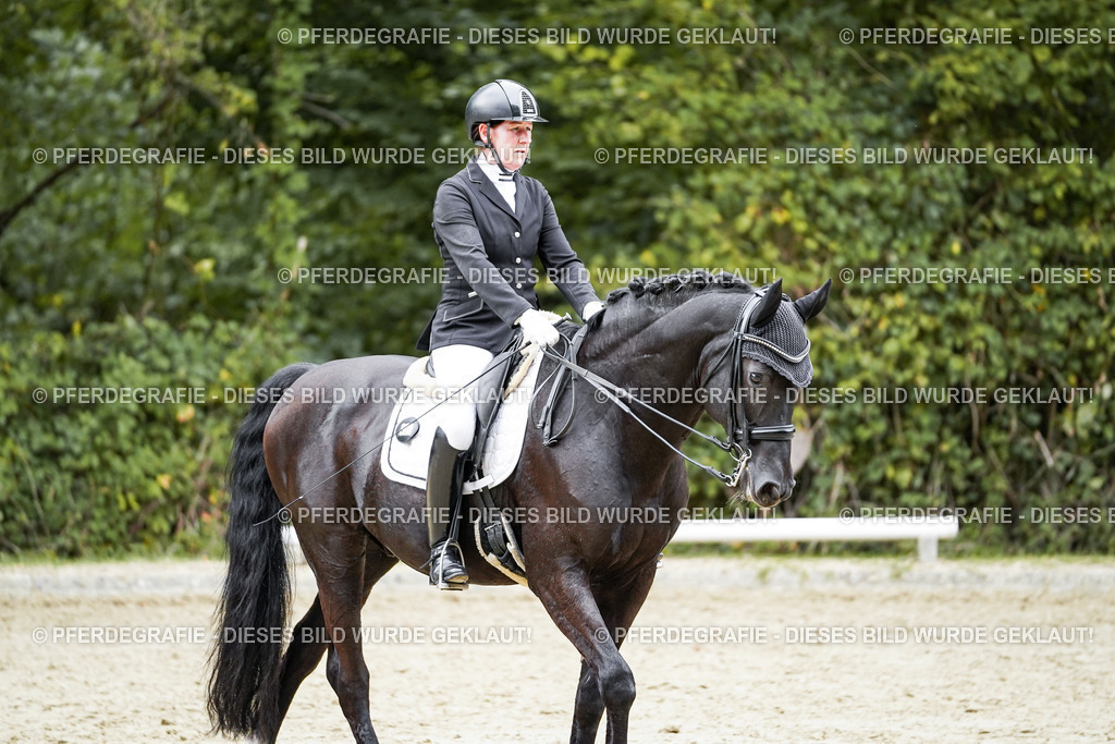 DSC02173 | Pferdegrafie