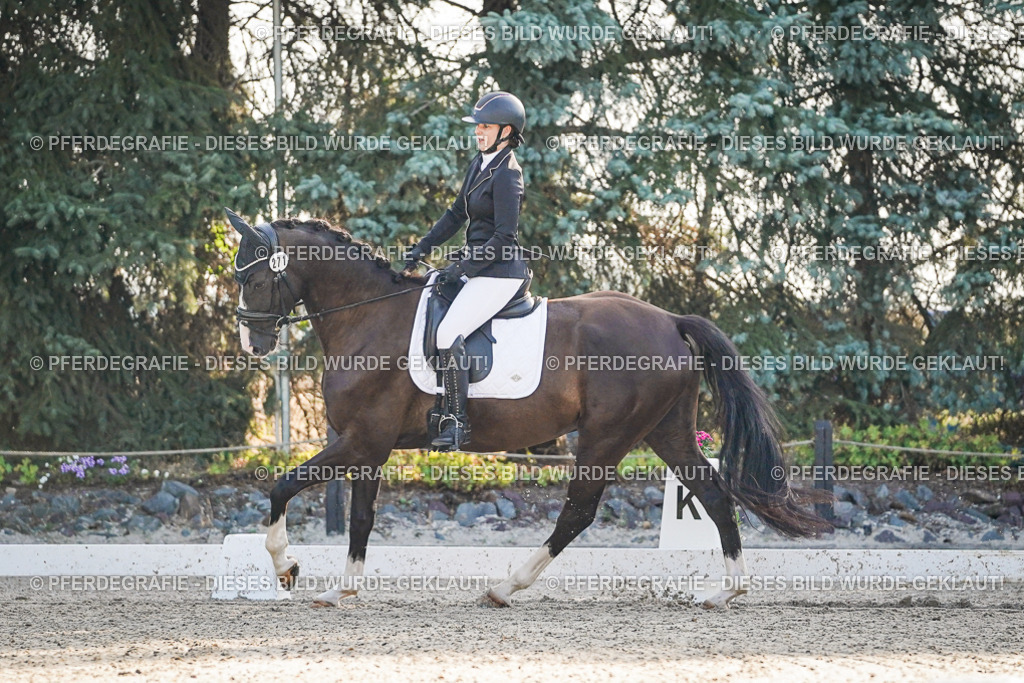 DSC07889 | Pferdegrafie