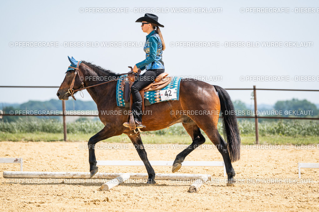 DSC00704 | Pferdegrafie