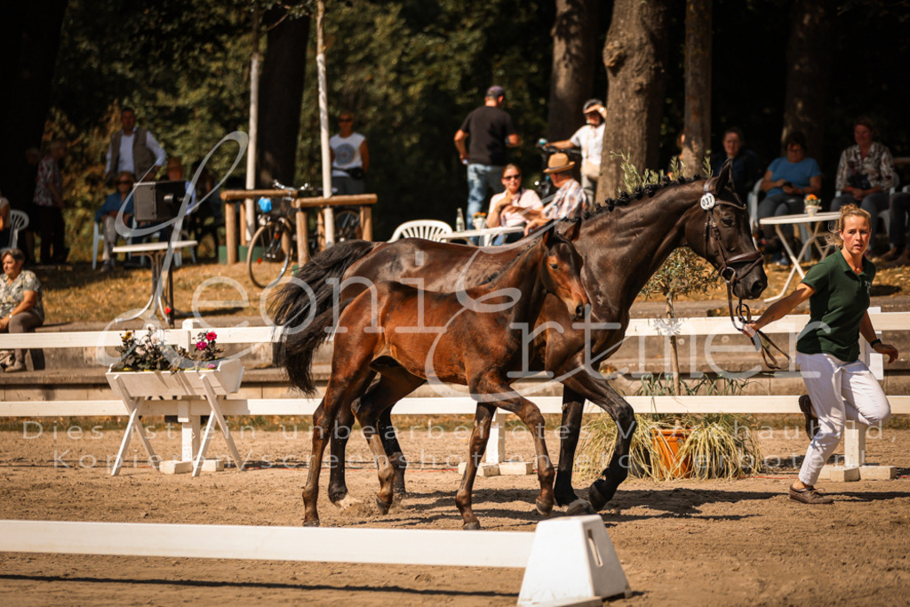 07.DoWBS00047 | Leoni Ertmer Photography - Realisiert mit Pictrs.com