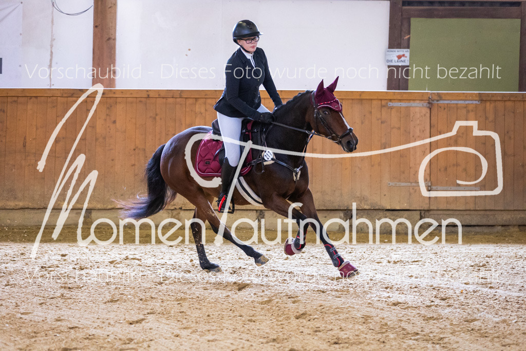 Sth-E-Springen-039 | MomenTaufnahmen Pferdesportfotos