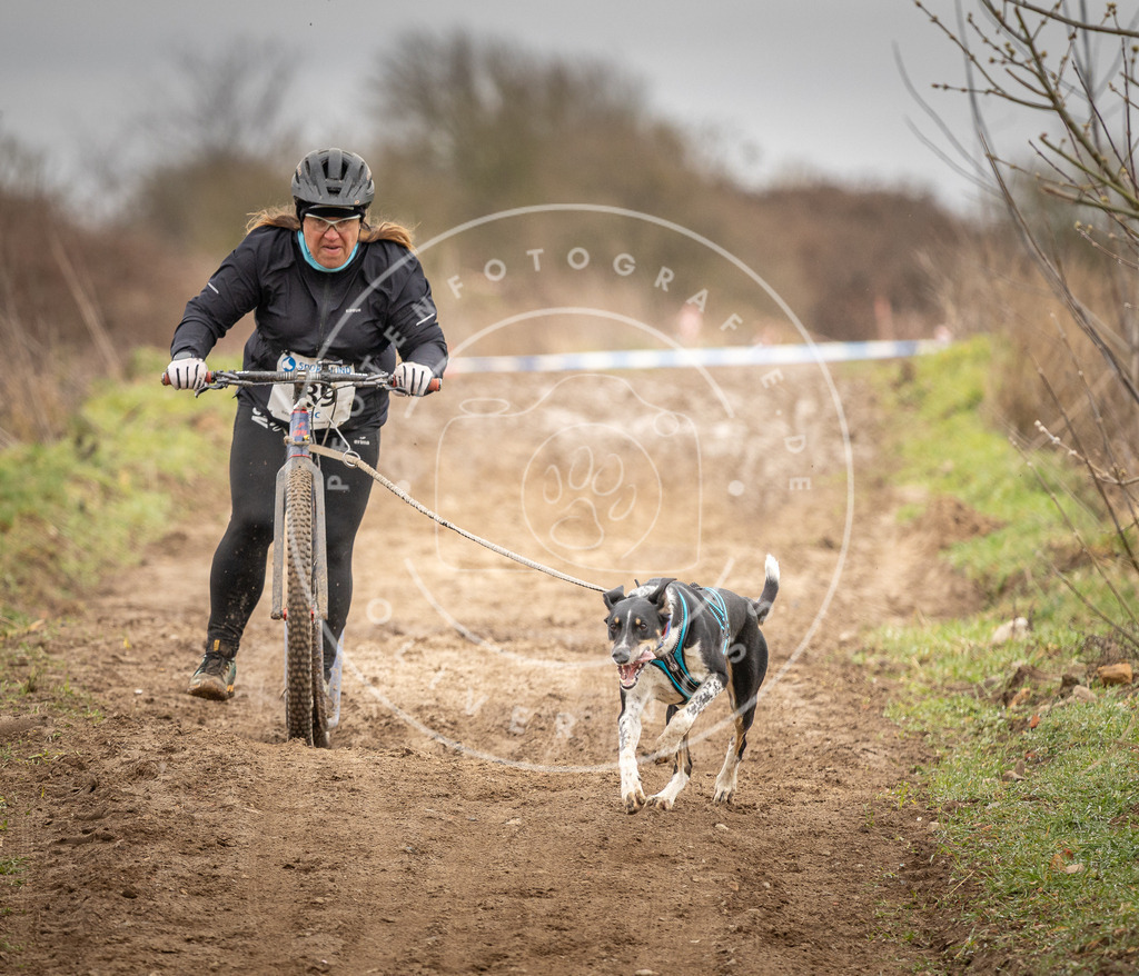 DV3A1381 | Hundefotografie, Tierfotograf, Pfotenfotografie, Fotoshooting Hund, Hunde Portrait, Hundesport, Hundeportraits, Heideshooting, Hunde, Sportfotograf, Hundefotograf, Turnierhundsport, THS,  - Realisiert mit Pictrs.com