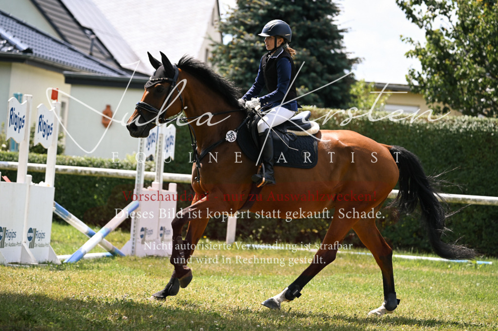 DSC_9309 | Pferde- und Turnierfotografie in Westsachsen. Pferdeportraits, Auftragszeichnungen und intuitive Kunst.