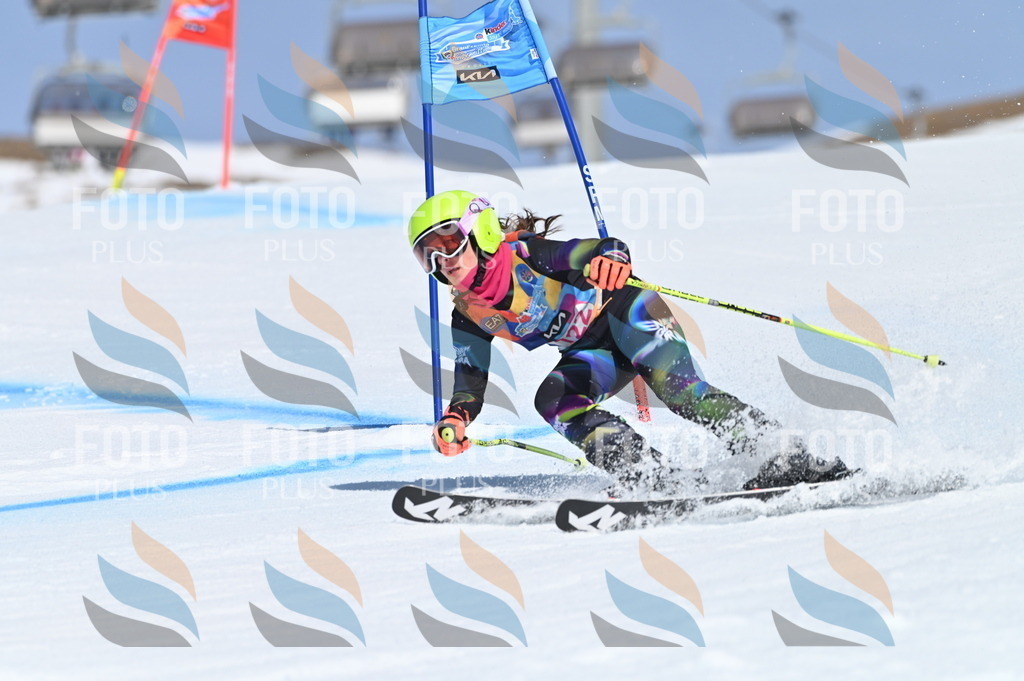 BGV_9848 | holidayphoto