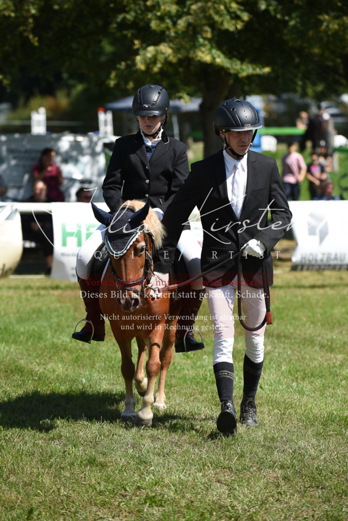 DSC_9668 | Pferde- und Turnierfotografie in Westsachsen. Pferdeportraits, Auftragszeichnungen und intuitive Kunst.