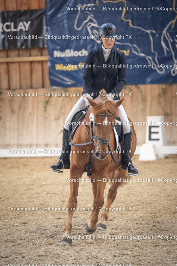 _D5A5560 | Emotionale Pferde- & People-Fotografie rund um Heidelberg, Leimen & Umgebung. Natürliche Fotos von Pferd, Mensch & Familie. Jetzt Termin sichern!