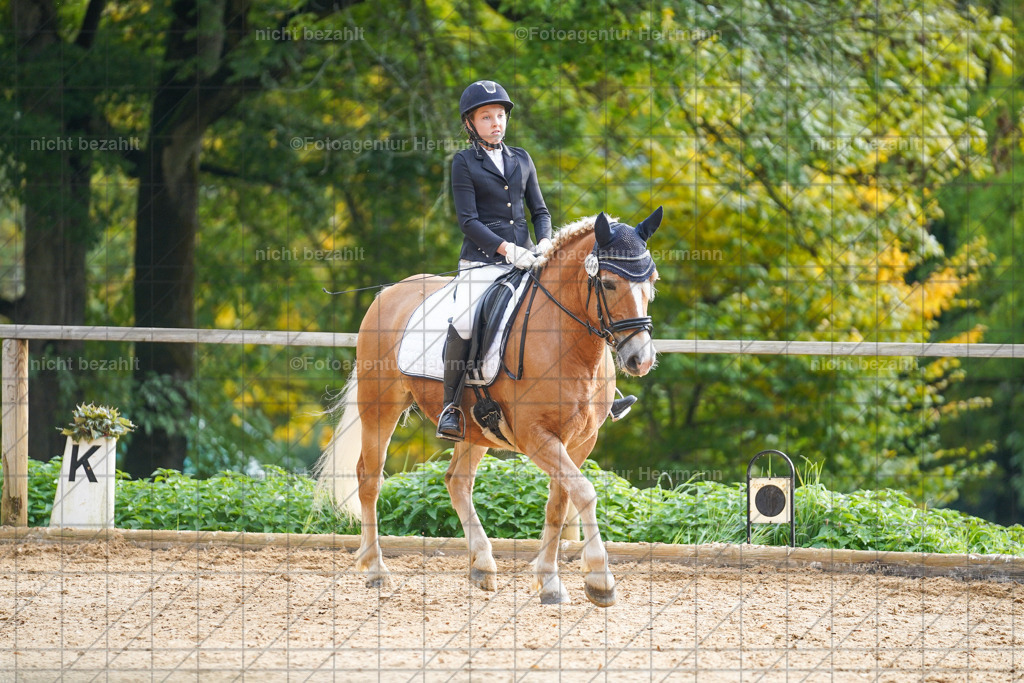 20221008-FAH00790 | Diessen am Ammersee, 2022, Dressur- und Springturnier, Reitsportbilder, Turnierfotografen Bayern, Pferdefotografen, Fotoagentur Herrmann, Turnierbilder