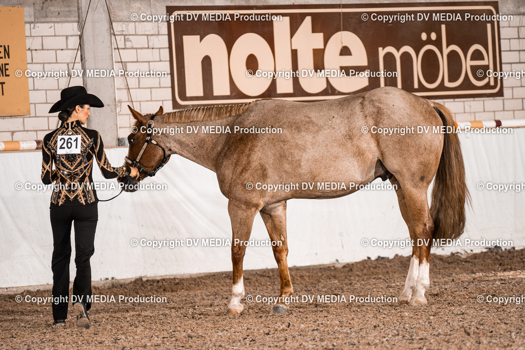 ZH200066 | dv-media-shop - Realisiert mit Pictrs.com