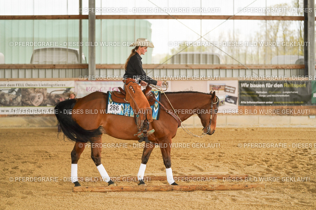 DSC04436 | Pferdegrafie