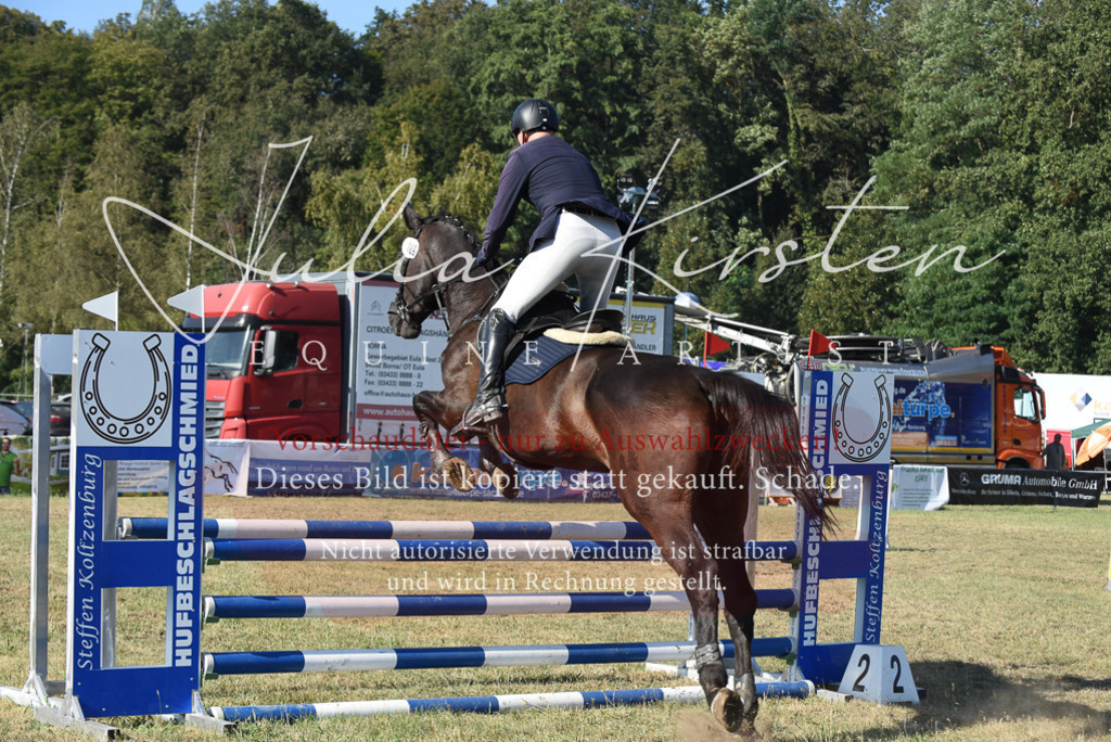 DSC_5344 | Pferde- und Turnierfotografie in Westsachsen. Pferdeportraits, Auftragszeichnungen und intuitive Kunst.