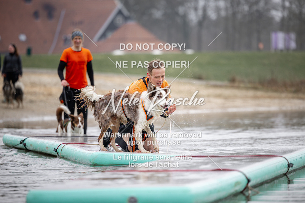 nelerasche_Hulsbeek_Sa1100-1130_599 | nelerasche