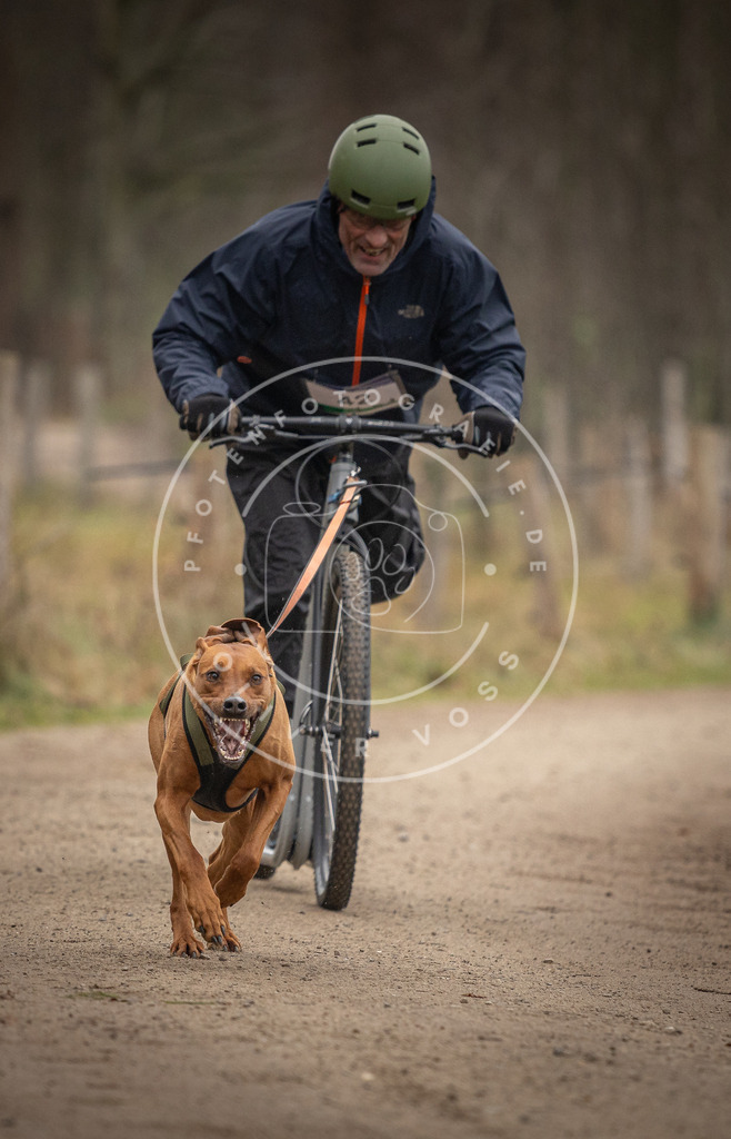 Pfotenfotografie_DV3A2604 | Hundefotografie, Tierfotograf, Pfotenfotografie, Fotoshooting Hund, Hunde Portrait, Hundesport, Hundeportraits, Heideshooting, Hunde, Sportfotograf, Hundefotograf, Turnierhundsport, THS,  - Realisiert mit Pictrs.com