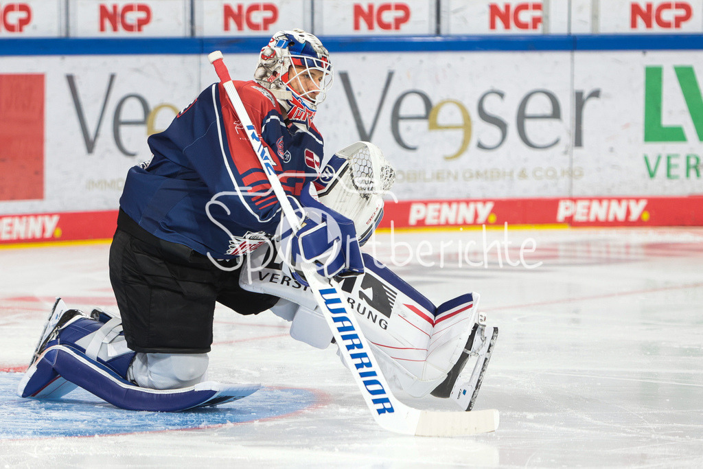 Nuernberg ICE Tigers - Augsburger Panther | Niklas TREUTLE (NIT #31) in Aktion