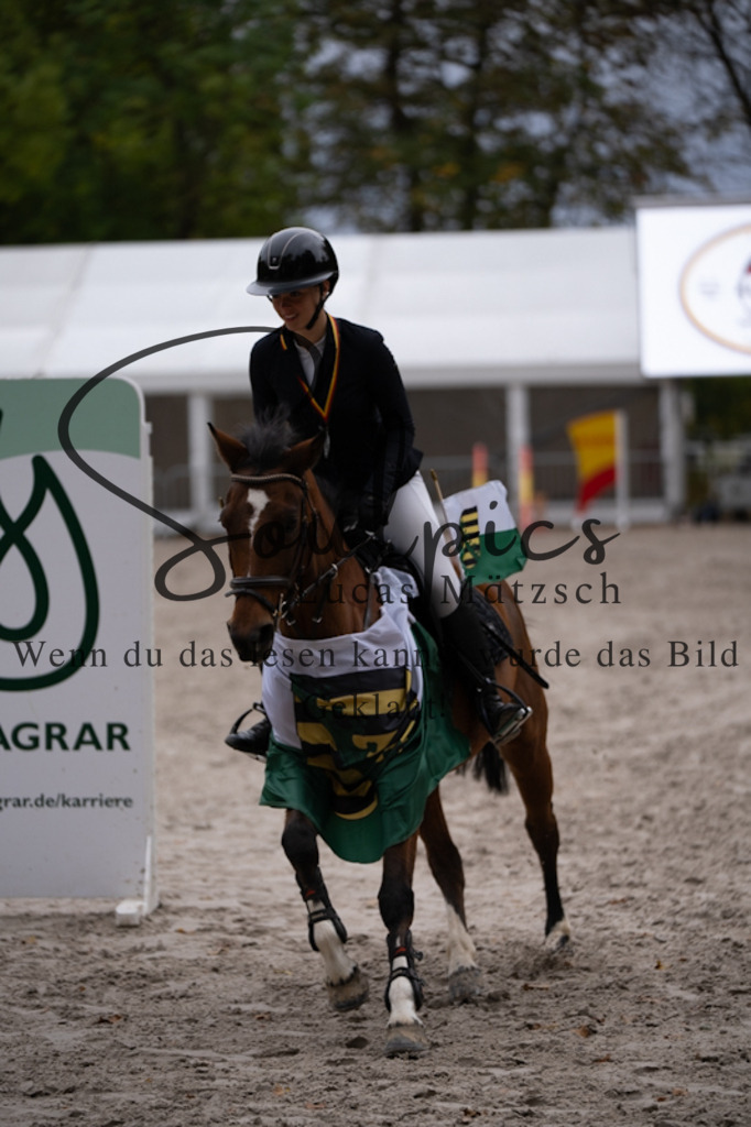 A7V01264 | Pferdefotograf