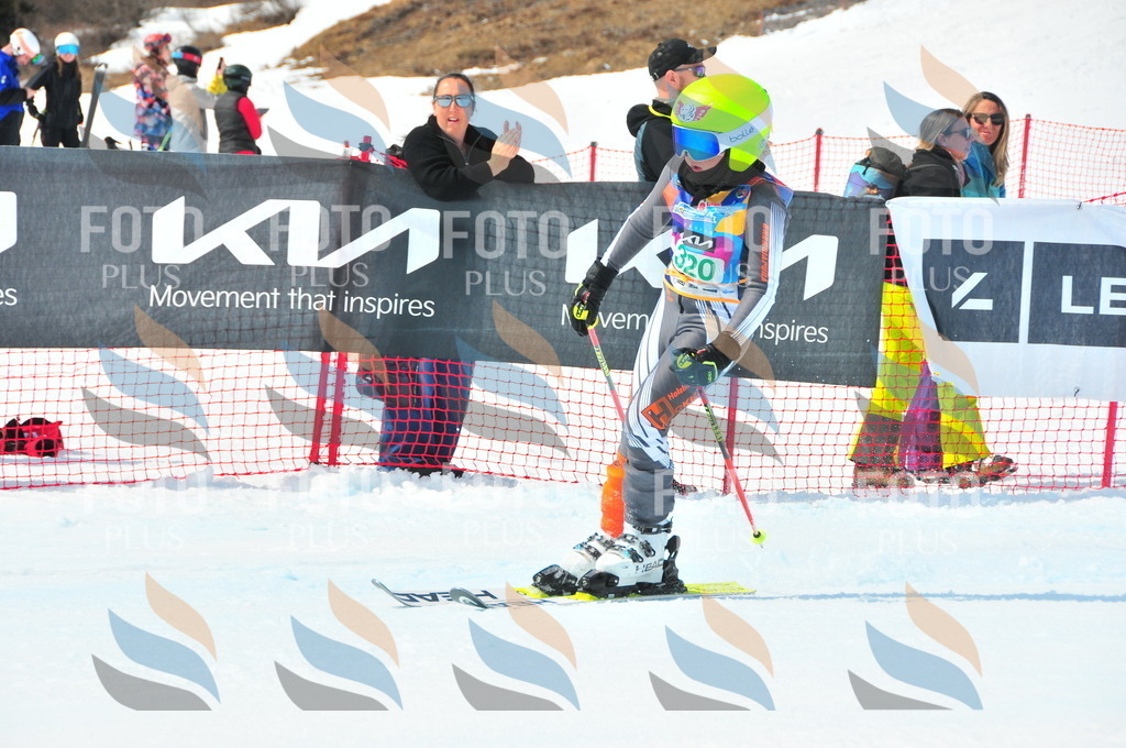 DSC_2950 | holidayphoto