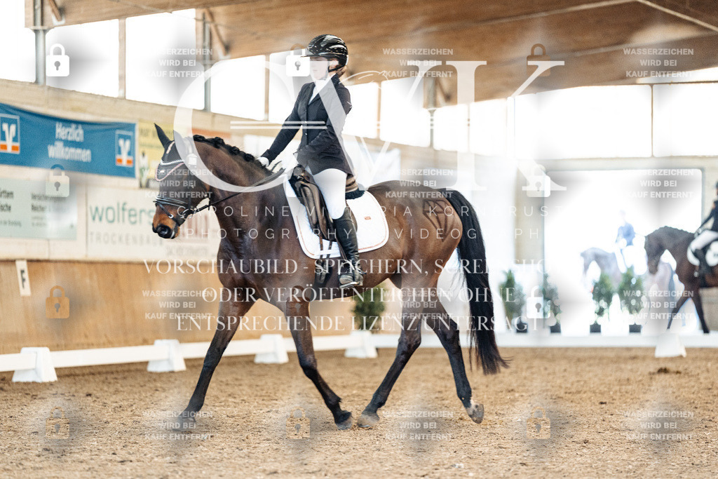 CK908376 | Turnierfotografie Pferdefotografie Trier Rheinland-Pfalz Pferdesport Reitsport Tierfotografie Sportfotografie Pferdevideo Pferdevideografie Equestrianvideography equestrianphotography  - Realisiert mit Pictrs.com