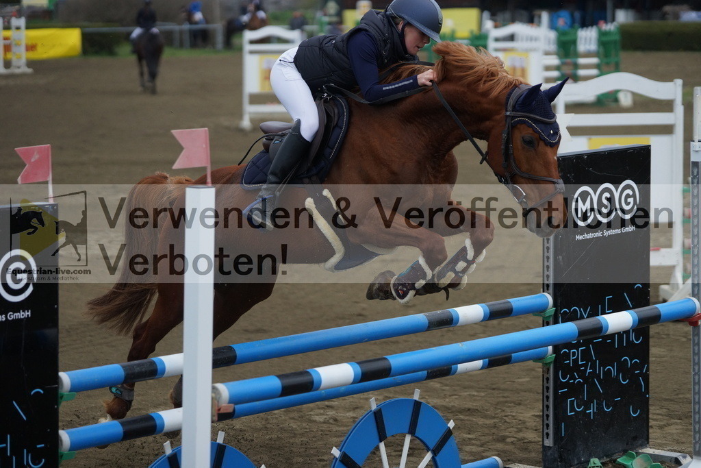 DSC00952 | equestrian-live-com