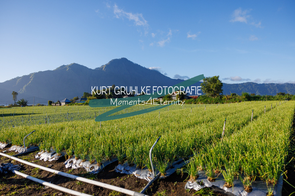 230719-0772 - Kopie | onlinegalerie und Fotoshop Kurt Gruhlke Fotograf Berlin
Hochzeitsfotograf Eventfotograf Portraitfotografie
 - Realisiert mit Pictrs.com