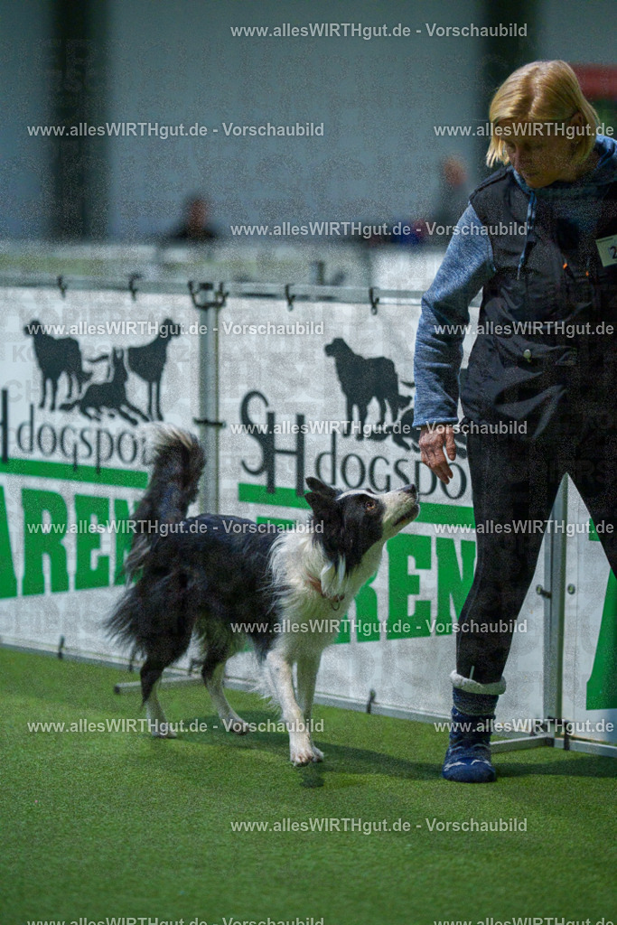 7R500992 | Professionelle Tierfotografie in Mönchengladbach von Daniel Wirth (allesWIRTHgut). Liebevolle & natürliche Bilder von Hunden & Katzen für unvergessliche Erinnerungen.