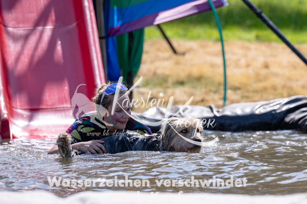1411_ZZ93954 | kk-dogfotos