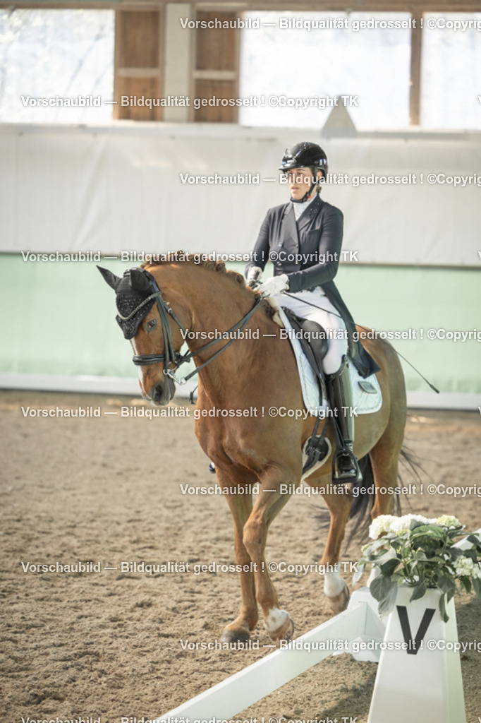 _D5A2421 | Emotionale Pferde- & People-Fotografie rund um Heidelberg, Leimen & Umgebung. Natürliche Fotos von Pferd, Mensch & Familie. Jetzt Termin sichern!