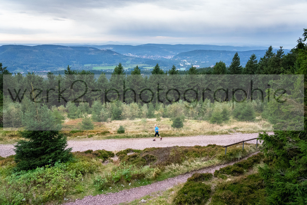 Rennsteiglauf 2021 | Marathon Neuhaus/Rwg. - Schmiedefeld