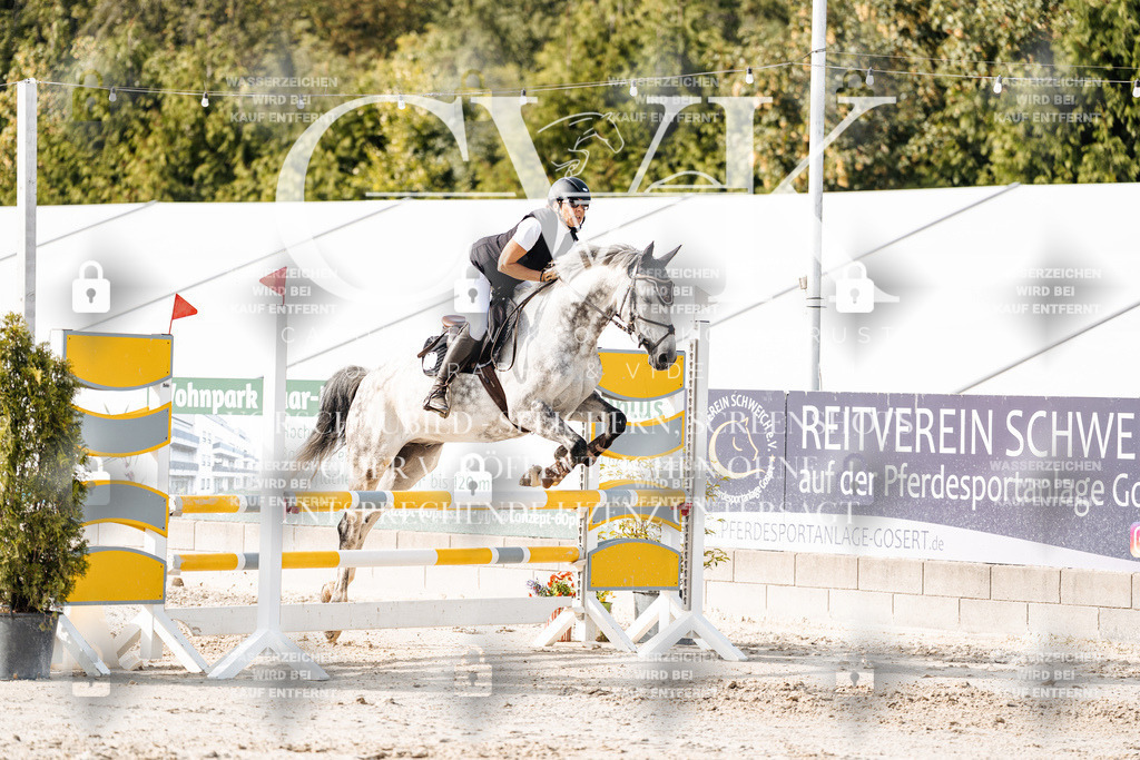 CK906000 | Turnierfotografie Pferdefotografie Trier Rheinland-Pfalz Pferdesport Reitsport Tierfotografie Sportfotografie Pferdevideo Pferdevideografie Equestrianvideography equestrianphotography  - Realisiert mit Pictrs.com