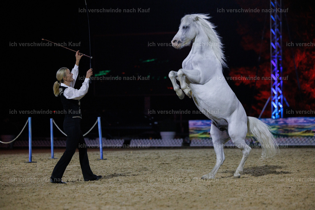 FHClassics-265 | working equitationturnier fotograf videograf stoibphotography marixx film working equitation deutschland reitsport turnierfotografie eventfotografie equestrian events
